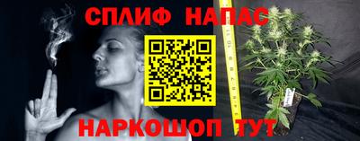 бошки Донецк